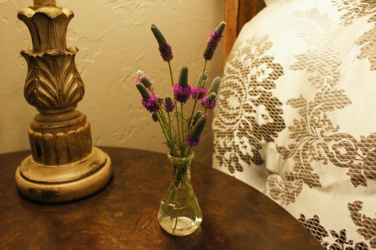 Hidden Meadows Bed And Breakfast 스틸워트 외부 사진